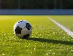 张兰怒斥汪,小菲家暴行,若属实将严,开云体育平台,开云体育官方网站,开云体育登录入口,开云体育app下载