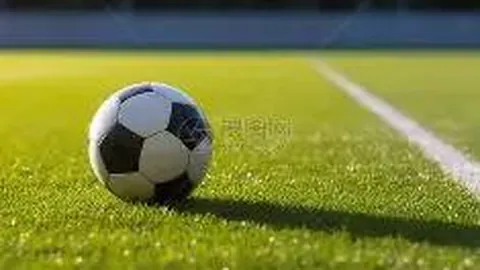 张兰怒斥汪小菲家暴行为：若属实将严惩不贷，大S独揽夫妻综艺收入