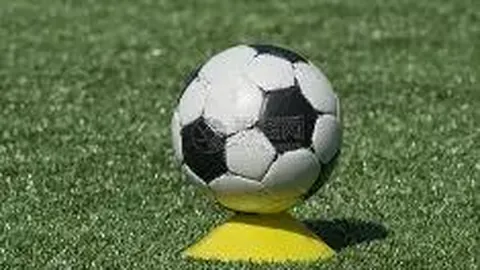 市青少年足球比赛圆满结束