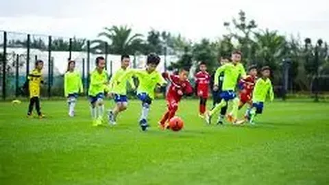 赵露思粉丝激增百万，叶柯回归热搜，带货业绩突破千万