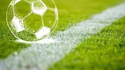 开云体育 资讯 140158 x47